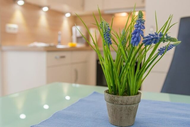 Ferienwohnung in Dahme - Kleine Perle - Bild 13