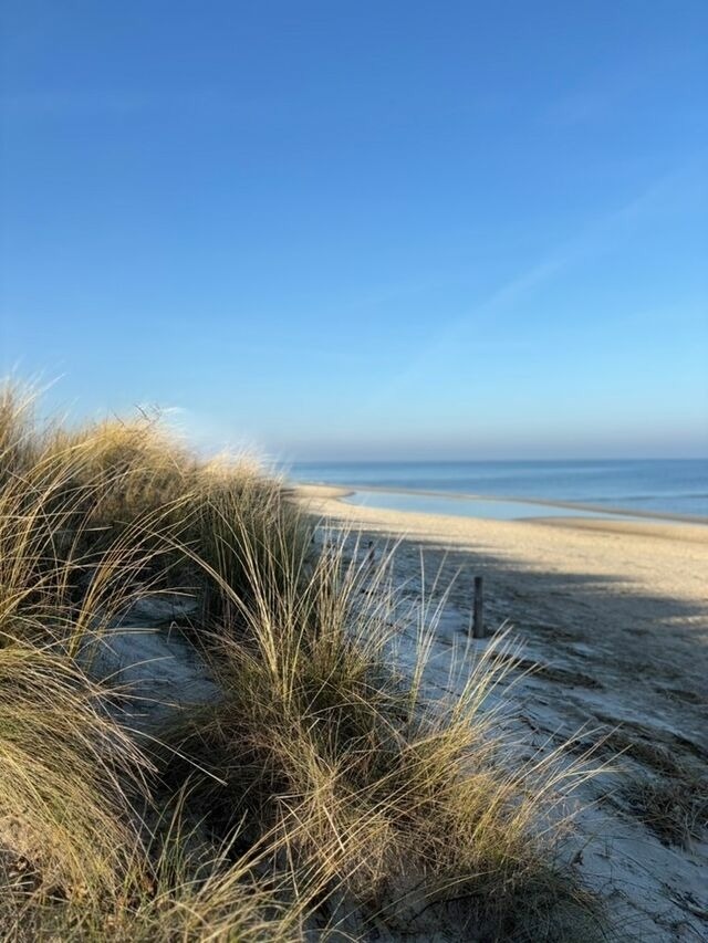 Ferienhaus in Koserow - Ferienhaus Usedom - Haus Andrea - 300Meter zur Ostsee - Bild 22