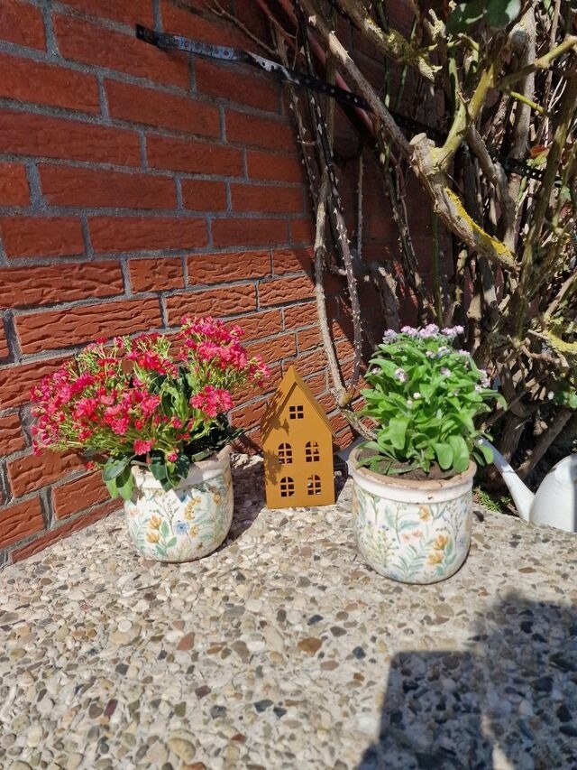 Ferienwohnung in Fehmarn - Haus Fehmarn am Dorfteich | Wohnung 1 S&uuml;d - Bild 13