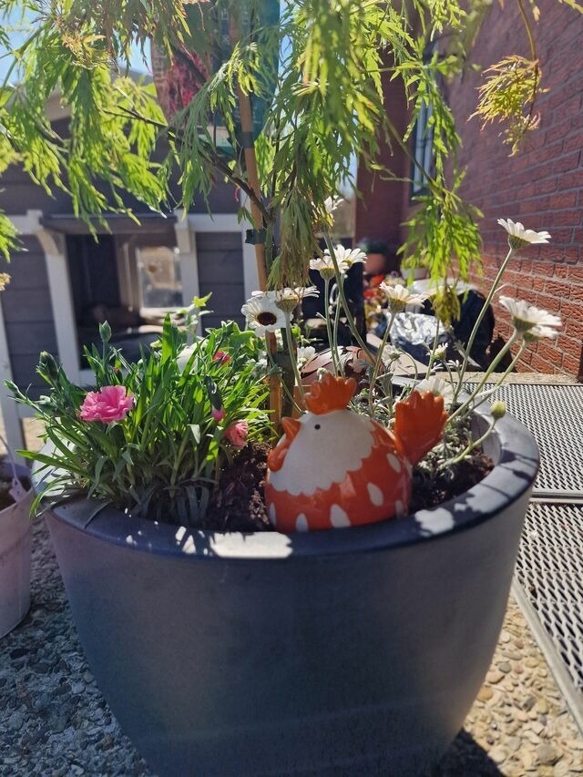 Ferienwohnung in Fehmarn - Haus Fehmarn am Dorfteich | Wohnung 1 S&uuml;d - Bild 14