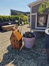 Ferienwohnung in Fehmarn - Haus Fehmarn am Dorfteich | Wohnung 1 S&uuml;d - Bild 15