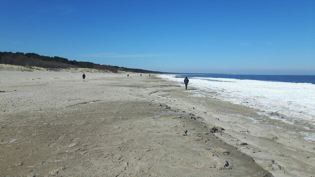 Ferienwohnung in Trassenheide - Strandparadies - Bild 24
