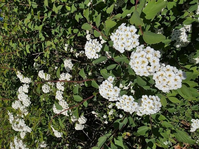 Ferienwohnung in Scharbeutz - Frei für Zwei - Bild 20