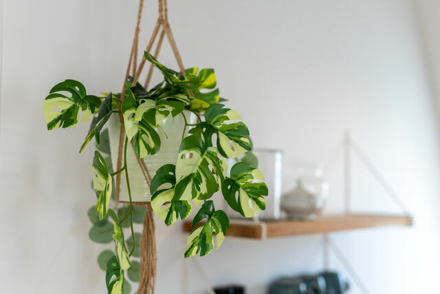 Ferienwohnung in Heikendorf - Dock 53 - Bild 7