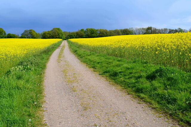 Ferienwohnung in Barkelsby-Hemmelmark - Alte Schule 1 - Bild 15