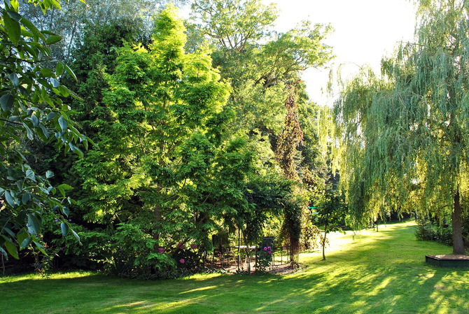 Ferienwohnung in Hageb&ouml;k - Ferienwohnung Thiedmann - Bild 19