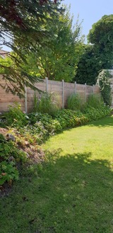 Ferienwohnung in Heiligenhafen - FeWo Todeskino "M&ouml;wennest" in Heiligenhafen - Bild 24