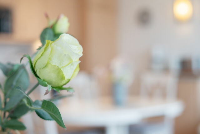 Ferienwohnung in Heiligenhafen - Haus Aquamarina Küstenruhe 11 - Bild 11