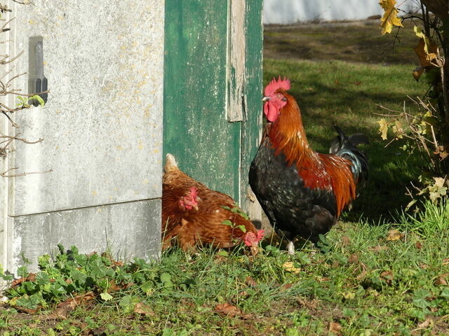 Ferienwohnung in Stolpe - Landhaus am Haff A3 - Bild 25