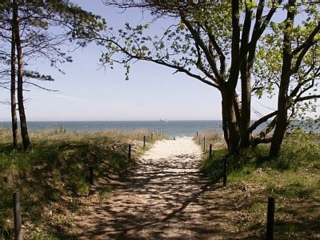 Ferienhaus in Baabe - D&uuml;nenblick 73a - Baabe - Bild 12