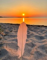 Ferienwohnung in Zierow - Kaj&uuml;te am Strand - ABC57 - Nur Ferieng&auml;ste! - Bild 24