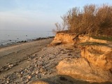 Ferienhaus in Hohen Wieschendorf - Strandhaus Fiete - Haus Walfisch - ABC330 - Bild 19