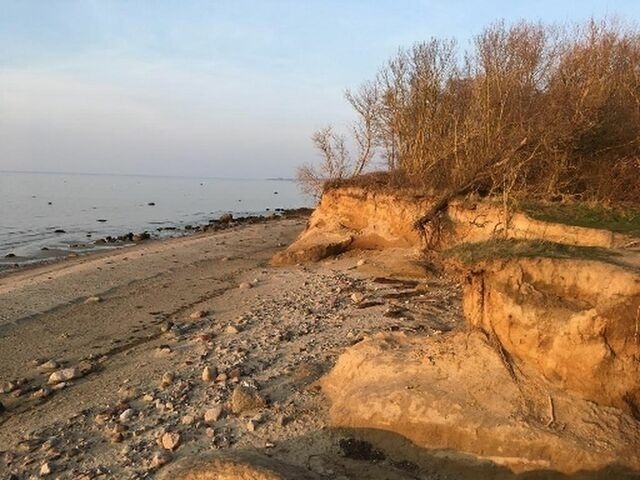 Ferienhaus in Hohen Wieschendorf - Strandhaus Fiete - Haus Walfisch - ABC330 - Bild 19
