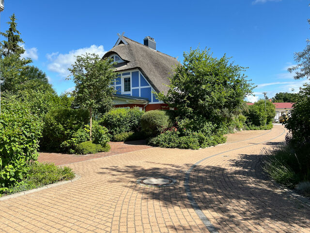 Ferienhaus in Born a. Dar&szlig; - B&uuml;ltenzeit - Bild 5