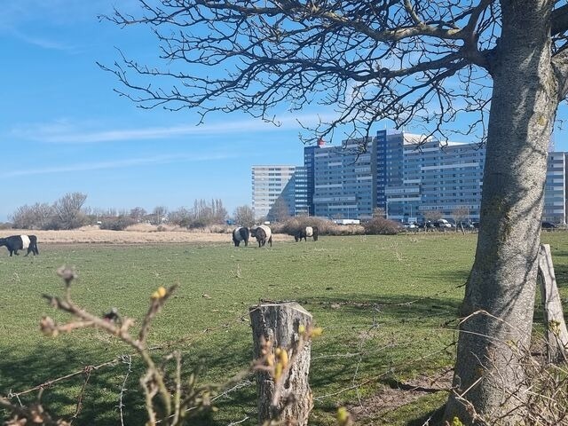 Ferienwohnung in Heiligenhafen - Ostsee-Rifugio - Bild 20
